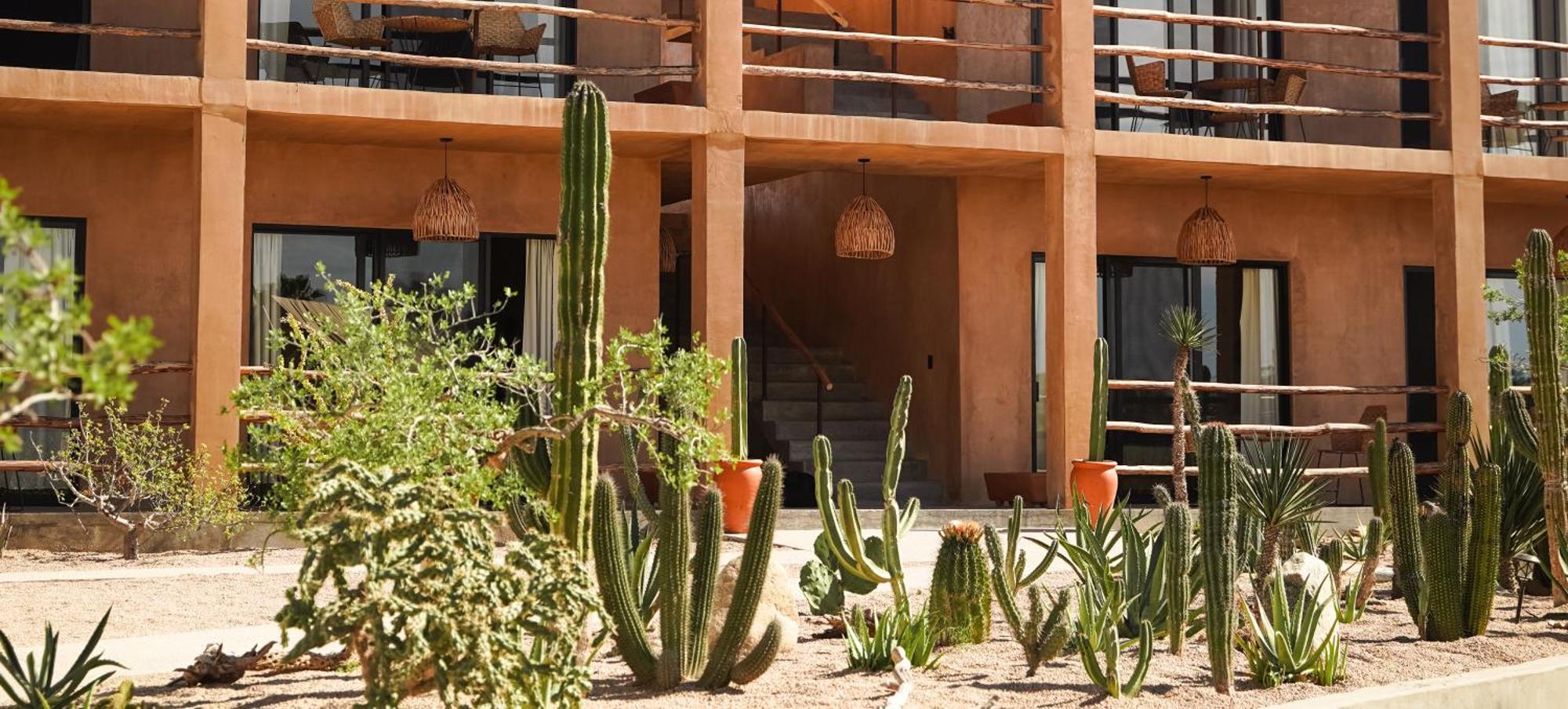 Baja Temple Hotel Тодос Сантос Екстериор снимка