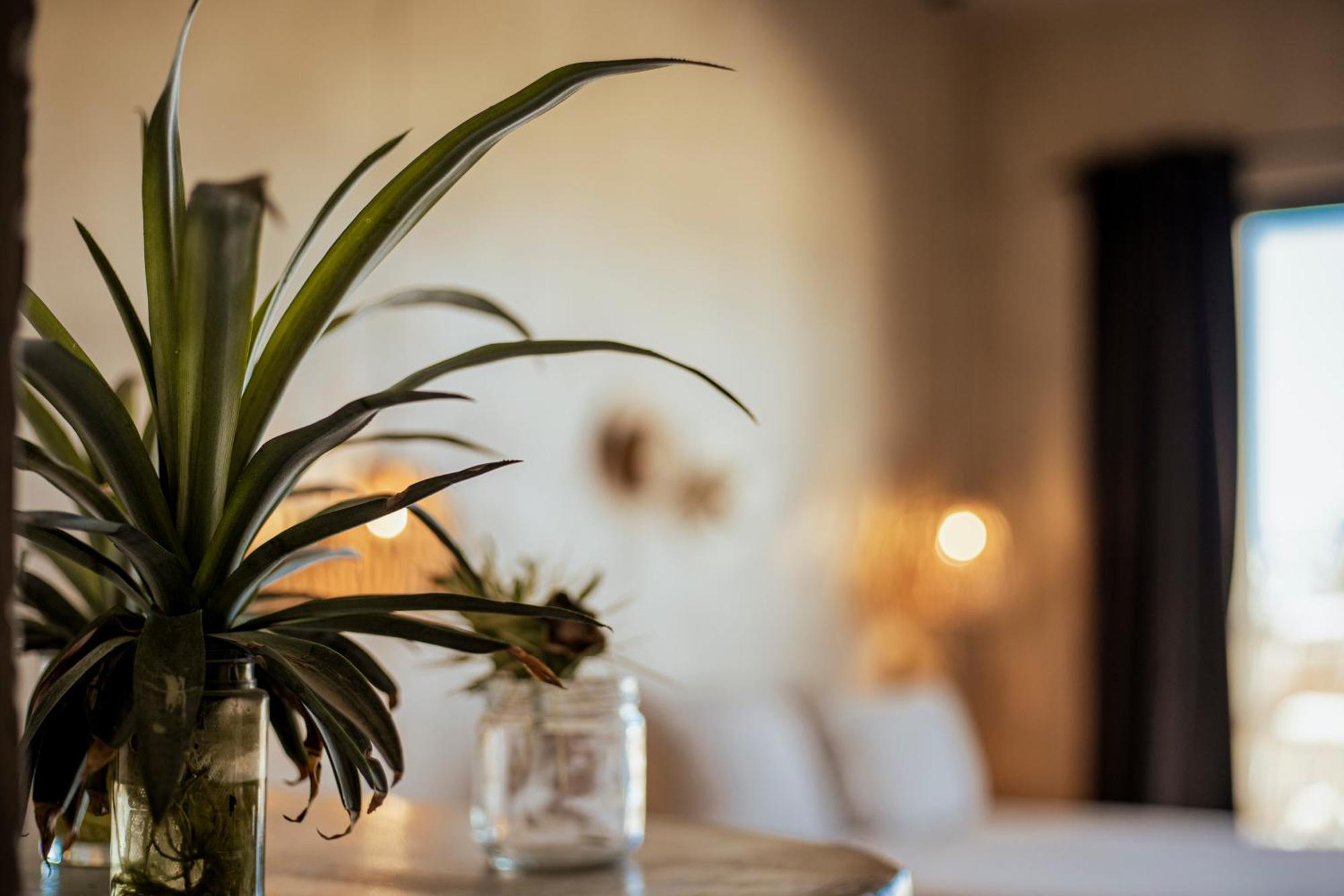 Baja Temple Hotel Тодос Сантос Екстериор снимка