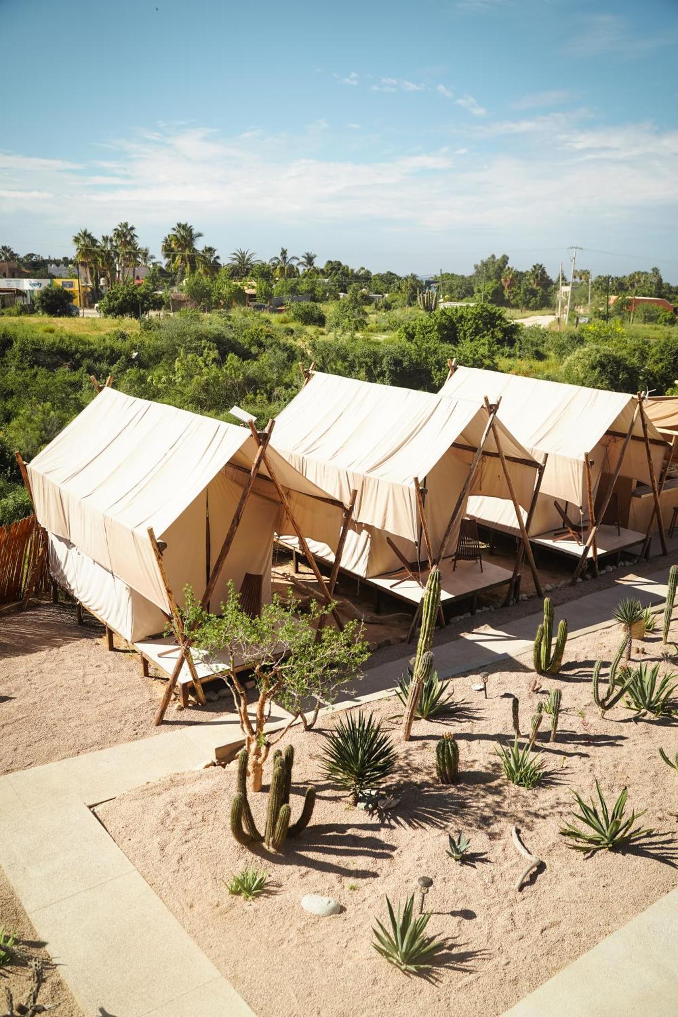 Baja Temple Hotel Тодос Сантос Стая снимка