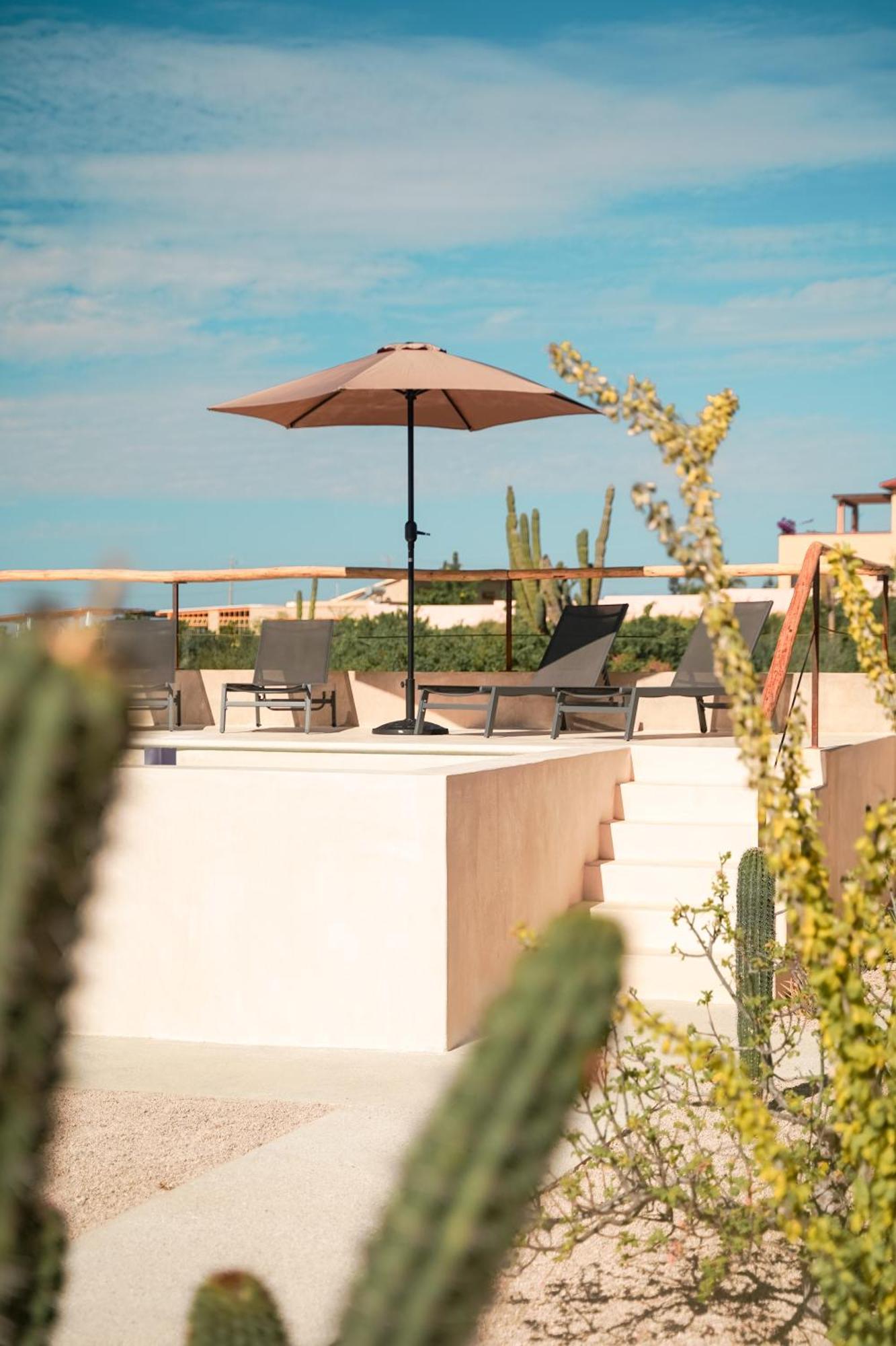 Baja Temple Hotel Тодос Сантос Стая снимка